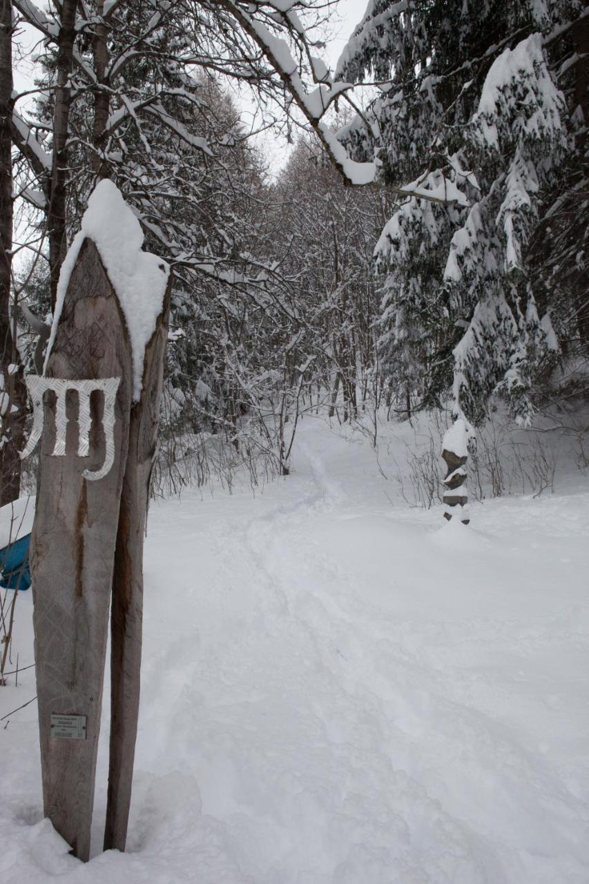 Etoile Des Neiges Ξενοδοχείο Oulx Εξωτερικό φωτογραφία